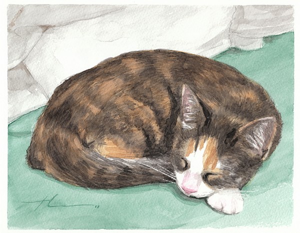 calico kitten watercolor theuer