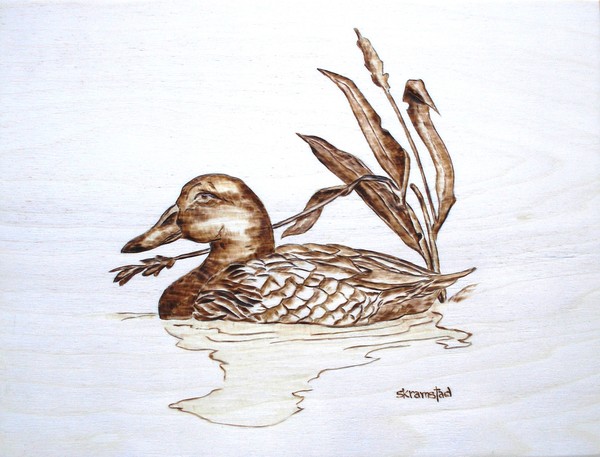duck burn