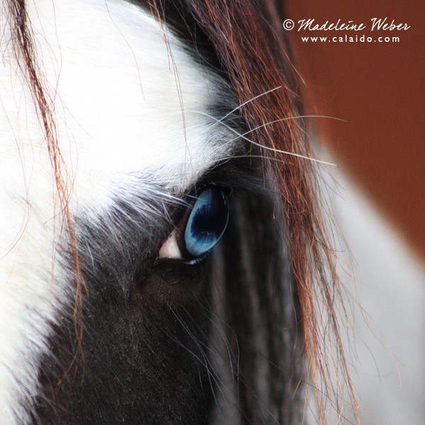 • Beautiful Eyes