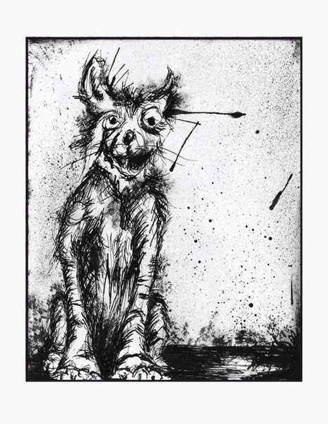 Cinder Cat