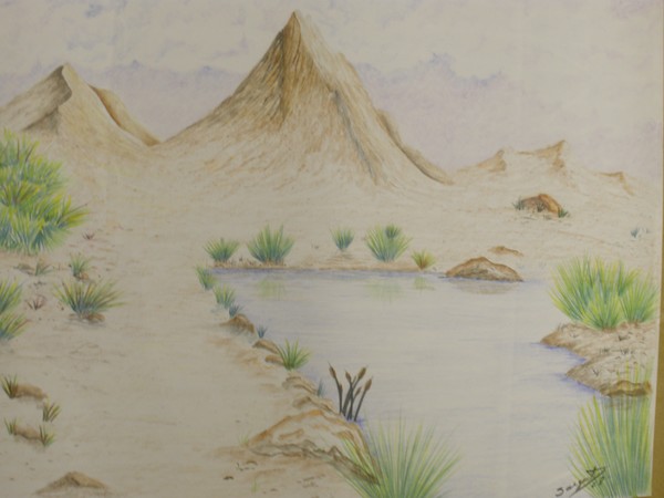 oasis