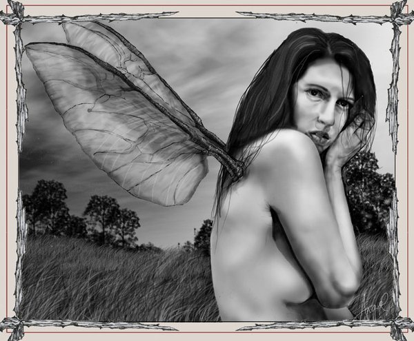 Fairy