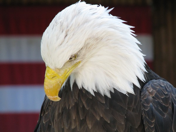 Sadness upon our nation
