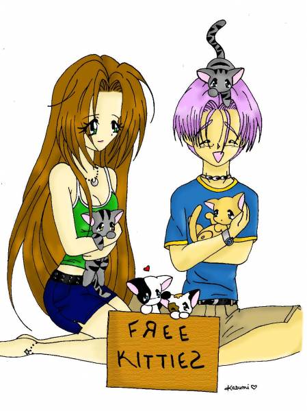 Free Kitties