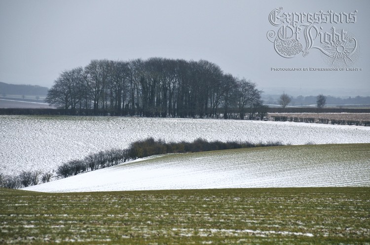 ExpoLight-The-Lincolnshire-Wolds-Winter-18-03-2018-0015 (SP)