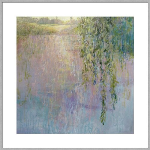 Morning Willows