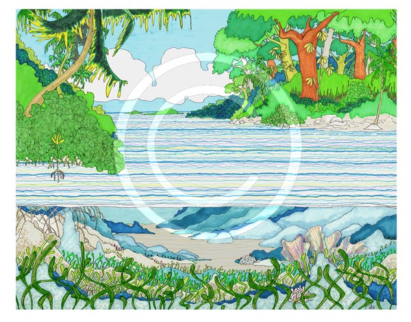 Mangrove