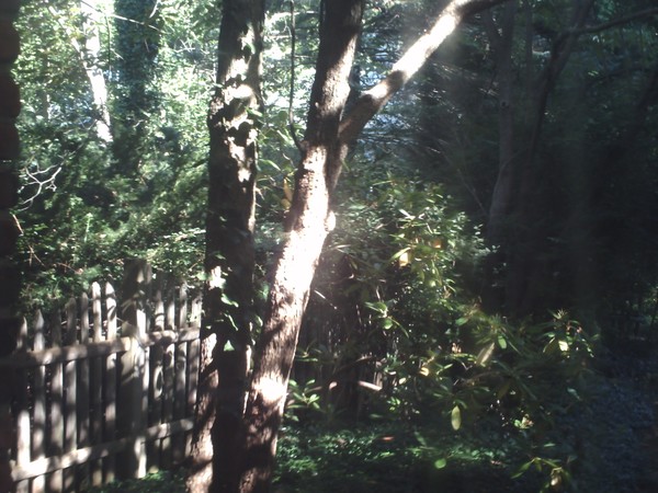 Walking with the sun