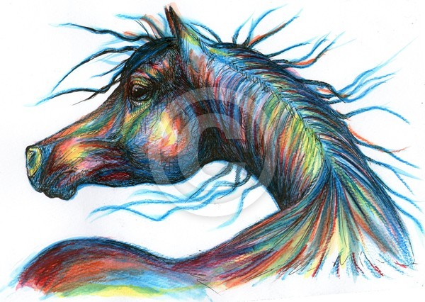 ~~Ulinska-Lisowska Original  Arabian Horse  Waterc
