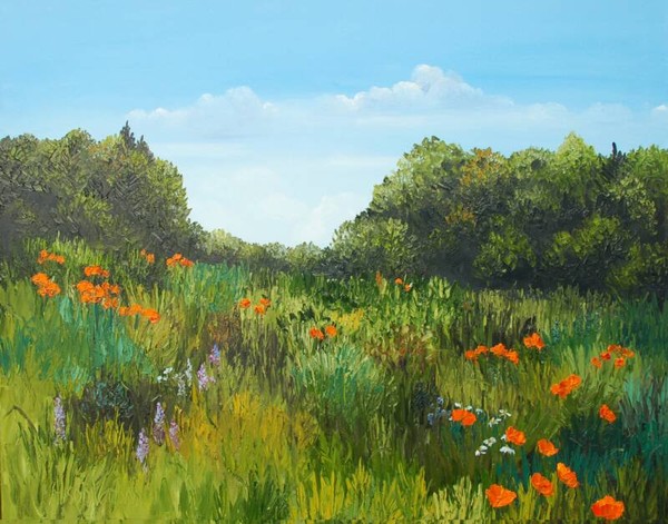 Field of Poppies