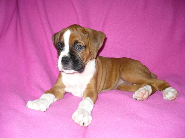 baby Lexie