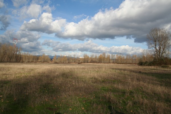 Picture_012