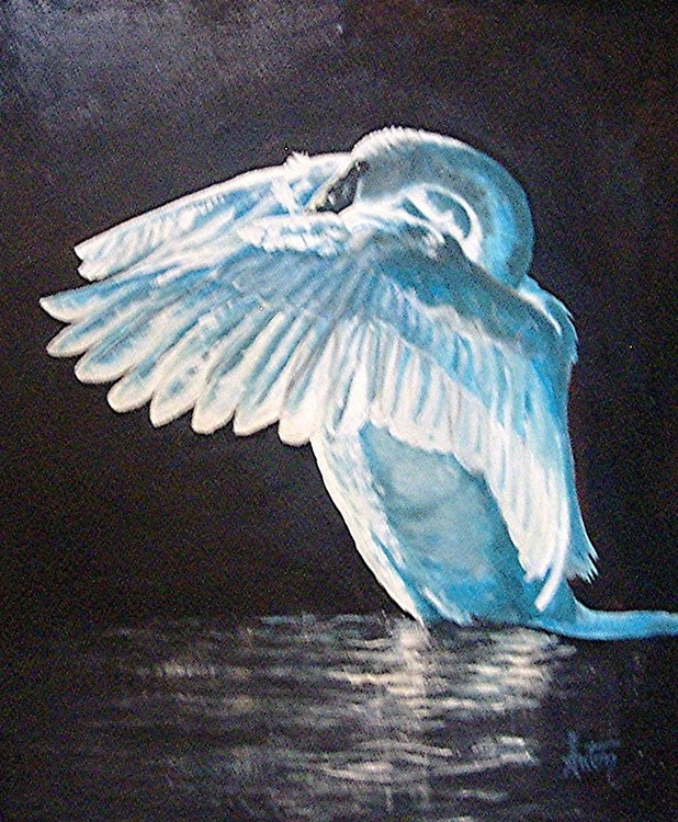 Swan