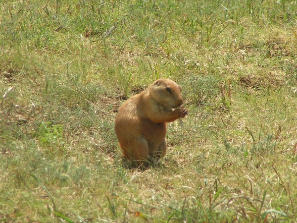 Cute Lil One
