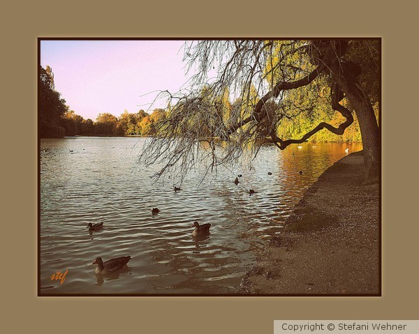 Sunny day in autumn