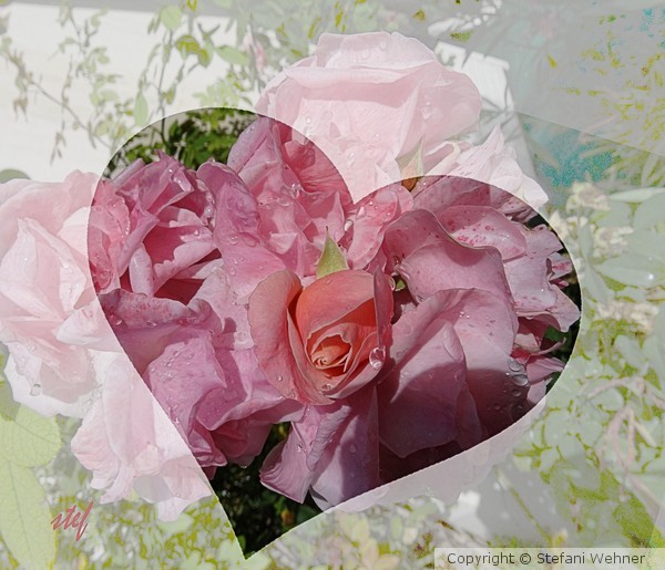 HAPPY MOTHERS'DAY in France