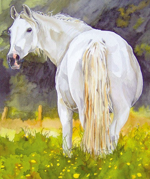 Portrait of a white horse