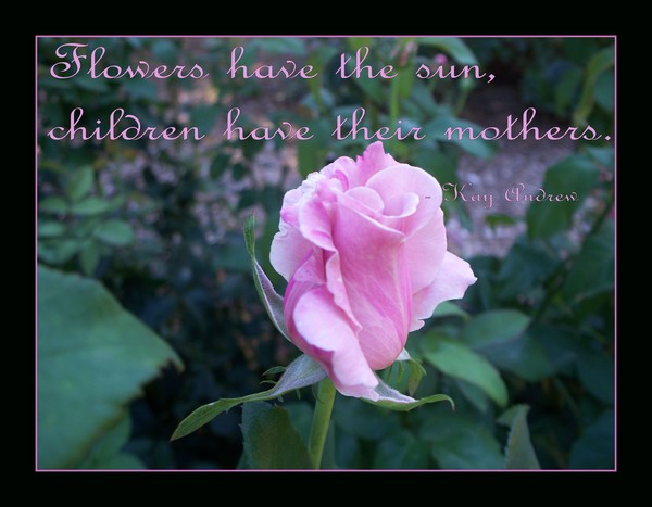 A Rose for Mother
