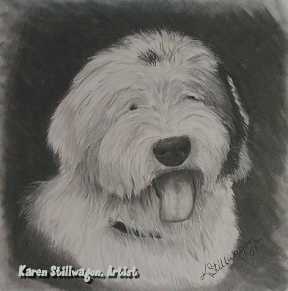 Charcoal Pet Portrait