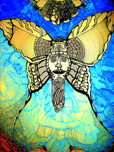 butterfly