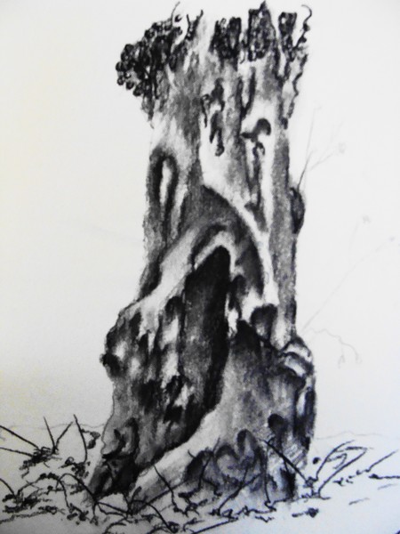 tree trunk