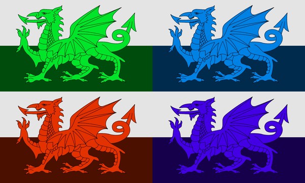 colourfull dragon 