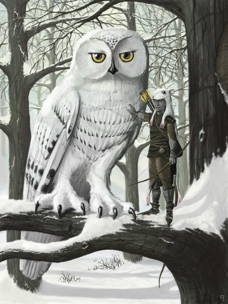 Greybark