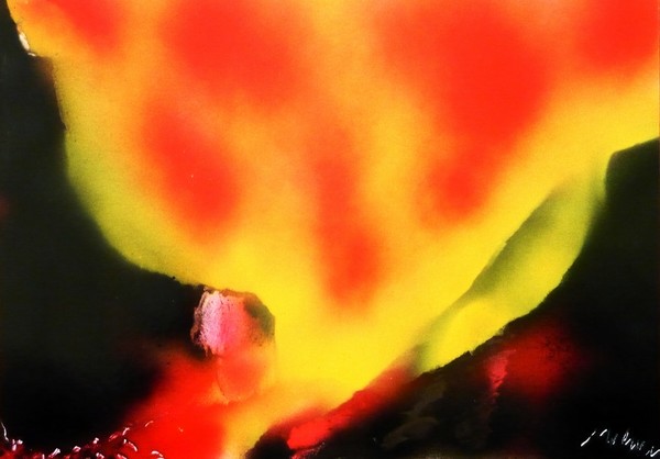 Fire Path