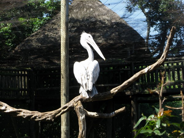IMG 2810 resize