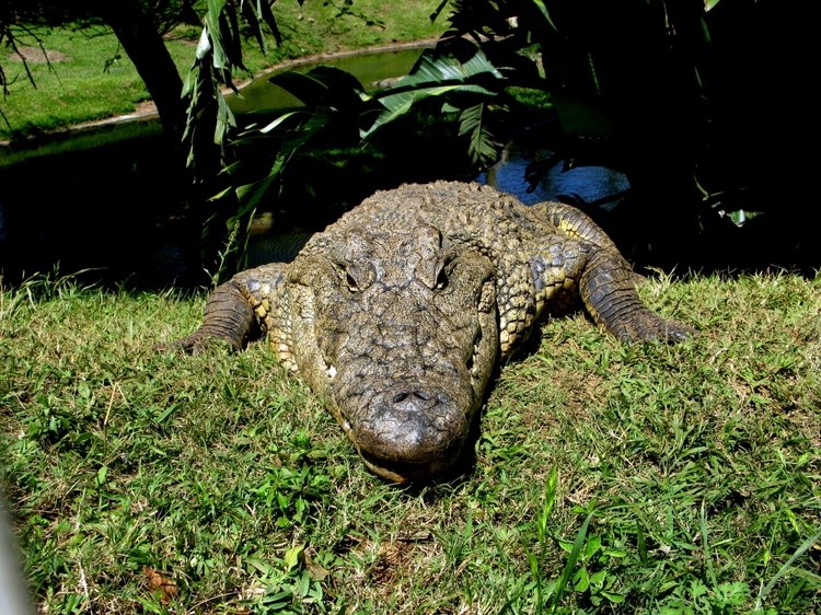 IMG 2748
