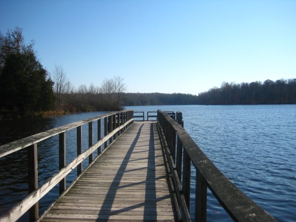 Bridge 