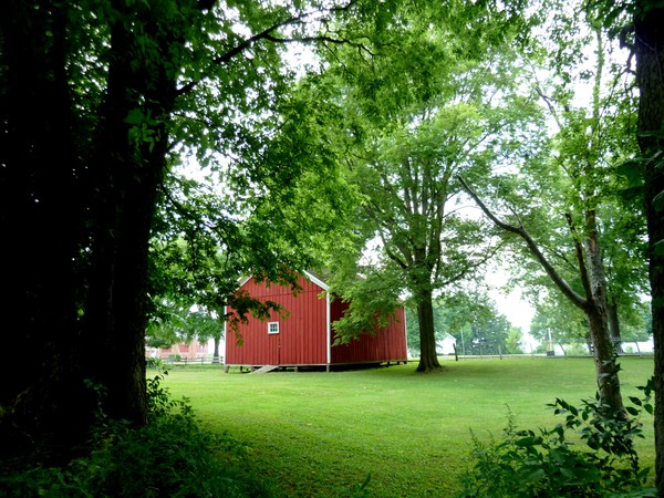 From The Edge Of The Wood's