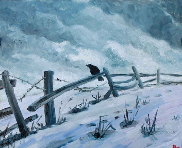 Lonesome crow in a storm
