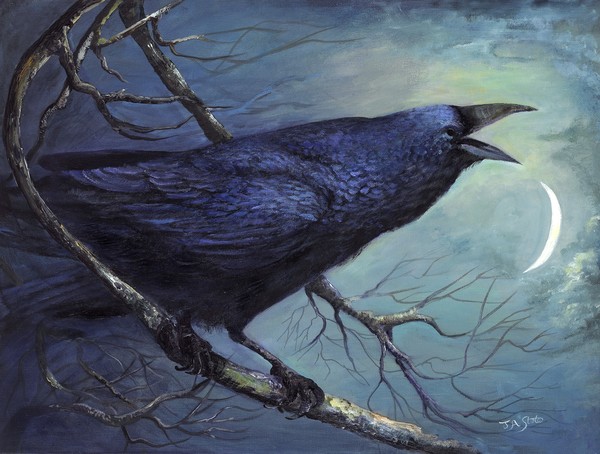 Raven