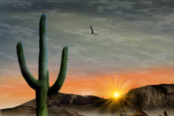 Western Sunset