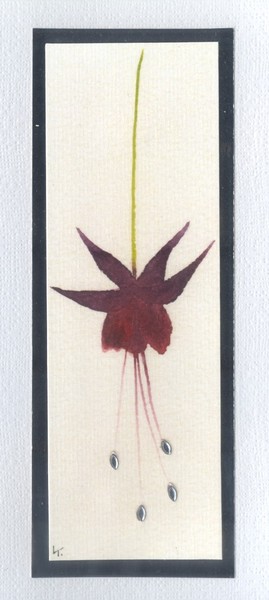 Fuschia