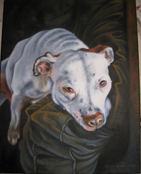Pet Portrait #3