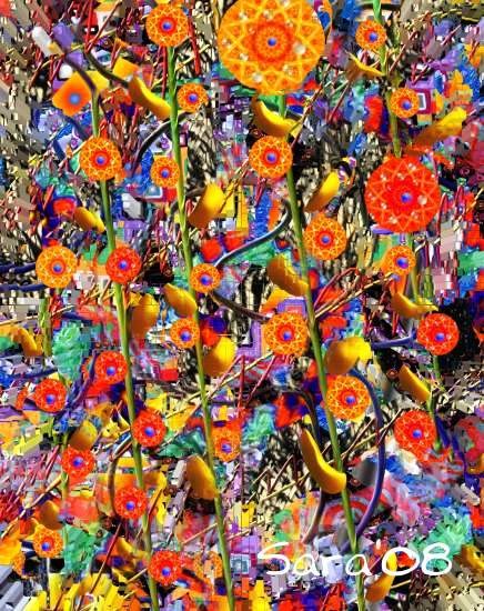 Profusion 4