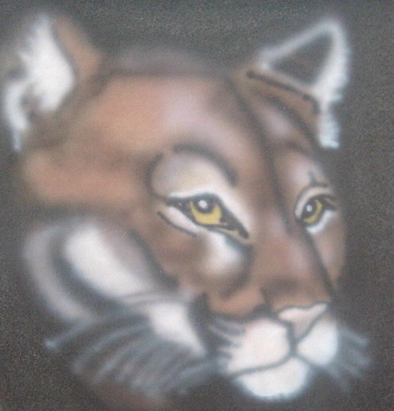 air cougar 8
