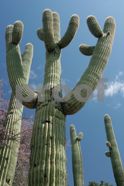 Reaching For Space