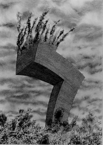 Ex-croissance