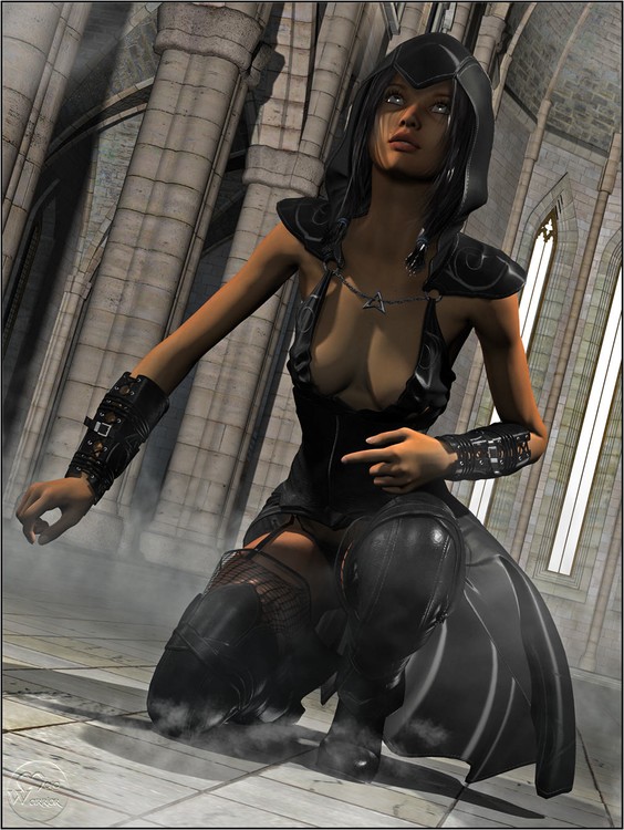 The Assassin