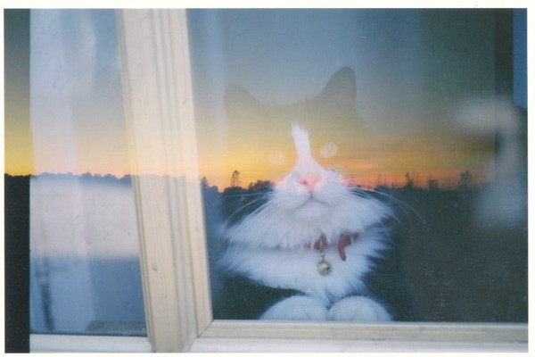 Two Pictures in one