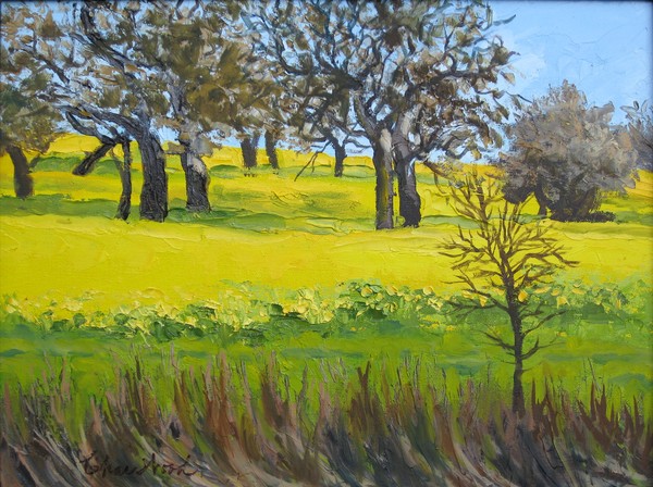 Mustard and Oaks