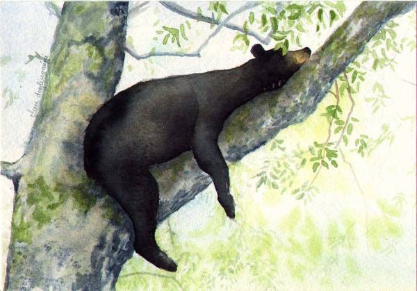 Balu