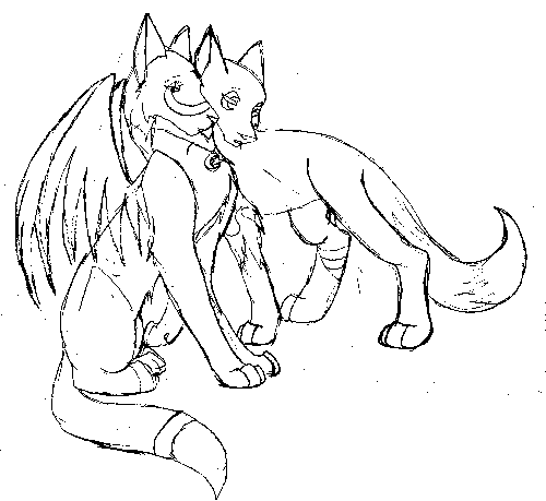comfort
