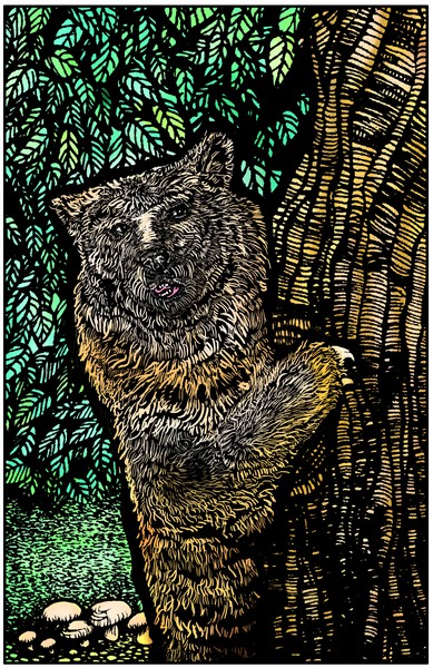 Bear