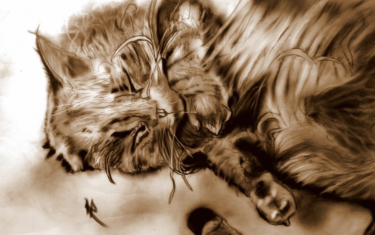 Slumber