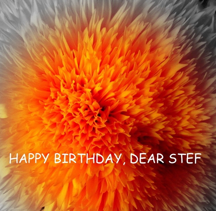 HAPPY BIRTHDAY, DEAR STEF !!!