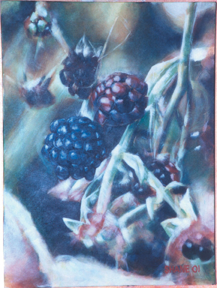 B.C Blackberries 2